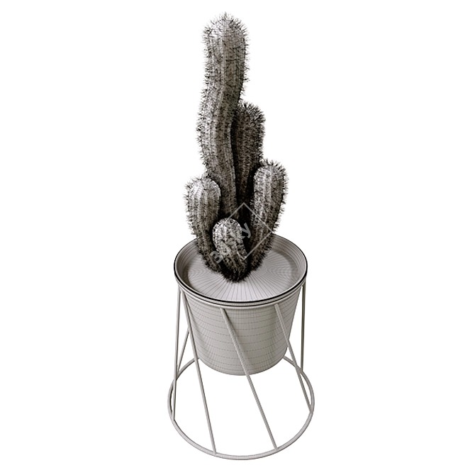  Prickly Beauties: Cactus Deco 3D model image 2