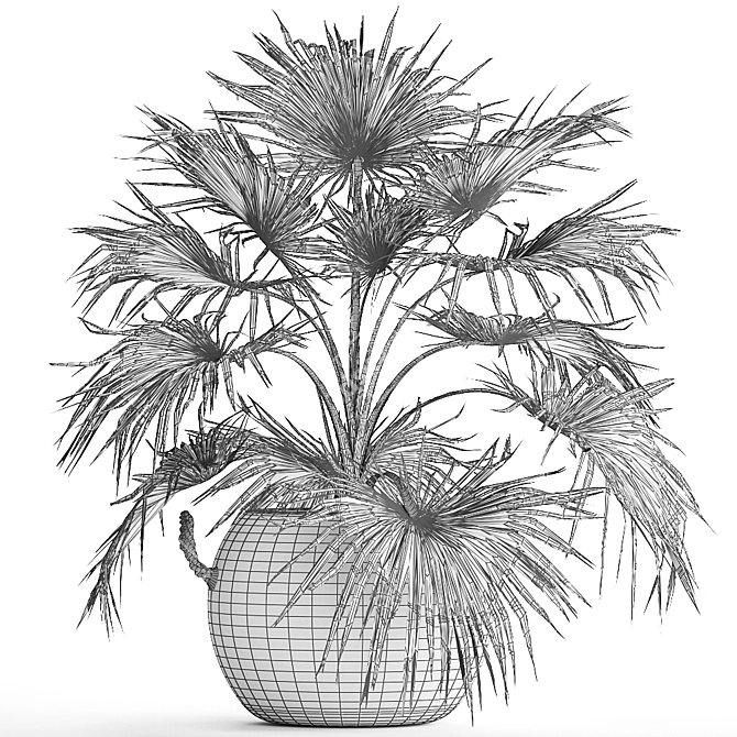 Exotic Palm Livistona: Houseplant Collection 3D model image 4