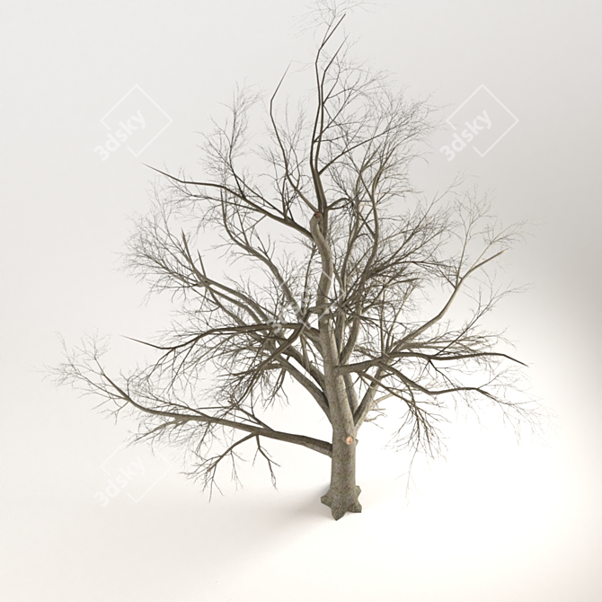 Diverse Greenery for 3D Renders 3D model image 2