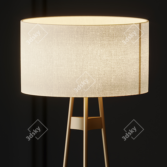 Ombre Glow Floor Lamp by CB2 3D model image 3