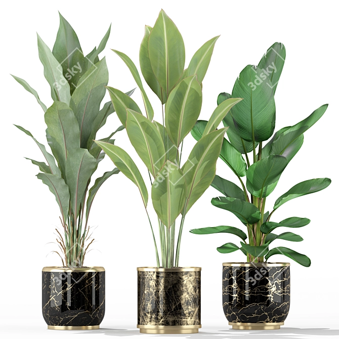  Lush Green Indoor Plants 3D model image 2