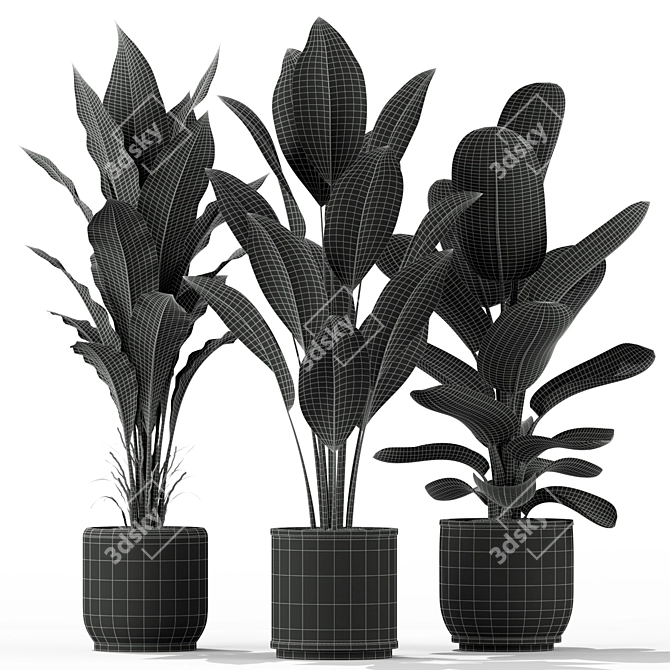  Lush Green Indoor Plants 3D model image 3