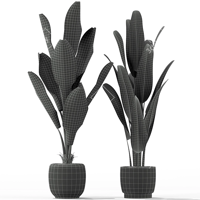  Lush Green Indoor Plants 3D model image 5