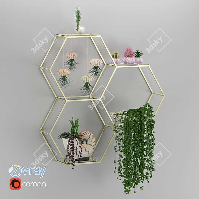 Modern House Plants Set 3D model image 1