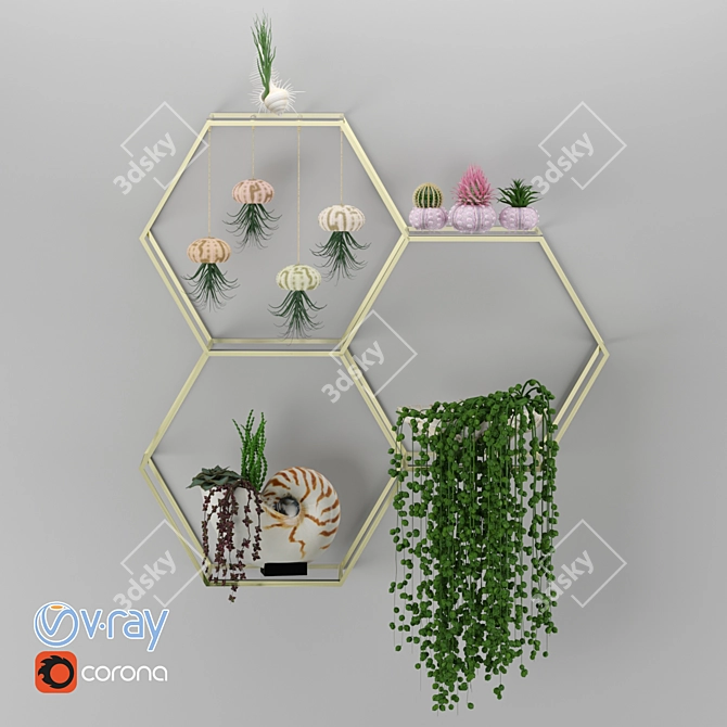 Modern House Plants Set 3D model image 2