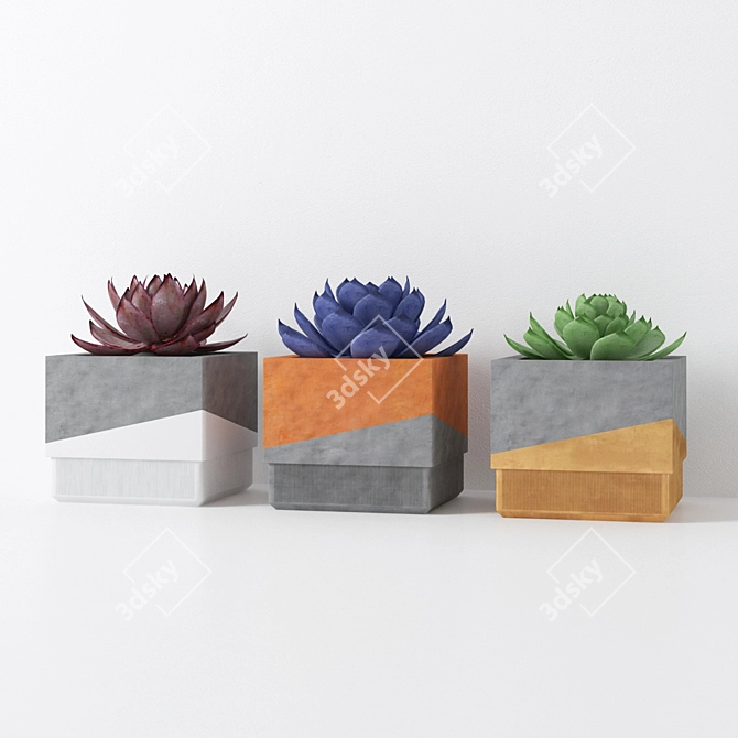 Minimalist Concrete Succulent Planters 3D model image 1