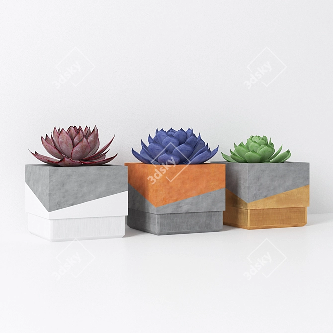 Minimalist Concrete Succulent Planters 3D model image 2