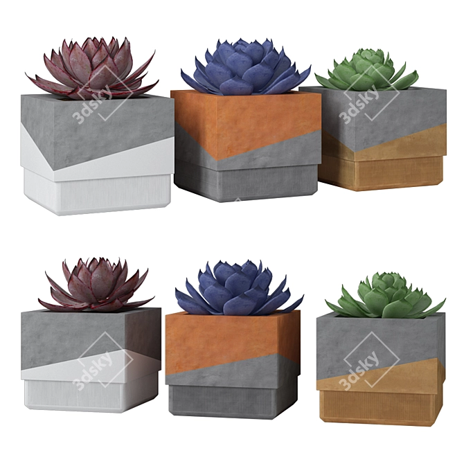 Minimalist Concrete Succulent Planters 3D model image 3