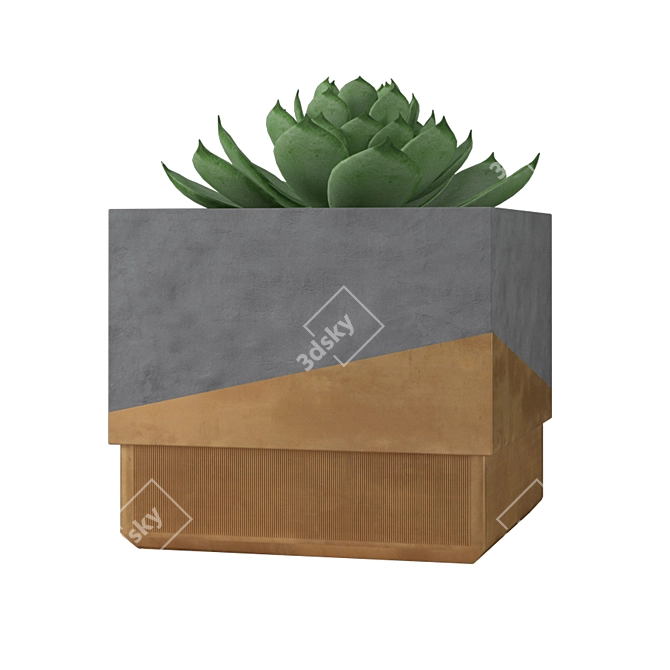 Minimalist Concrete Succulent Planters 3D model image 7