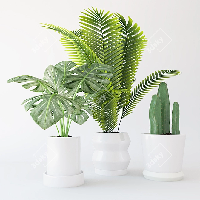 Tropical Greenery Trio in Ceramic 3D model image 1