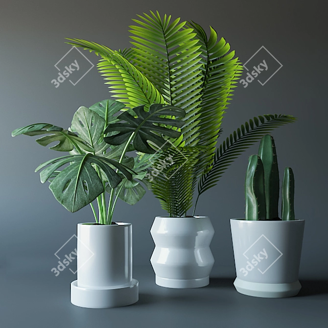 Tropical Greenery Trio in Ceramic 3D model image 2