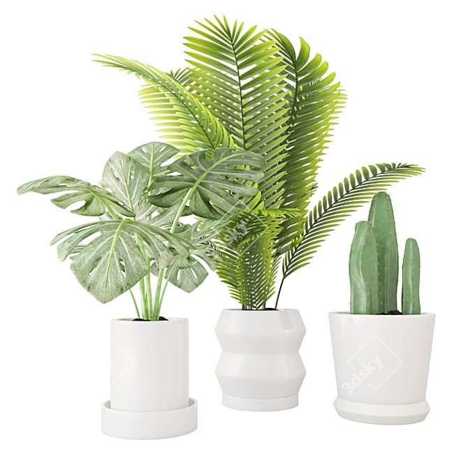 Tropical Greenery Trio in Ceramic 3D model image 3