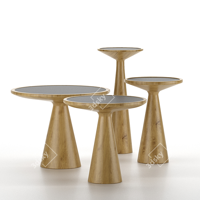 Elegant Figura Tables by Draenert 3D model image 1