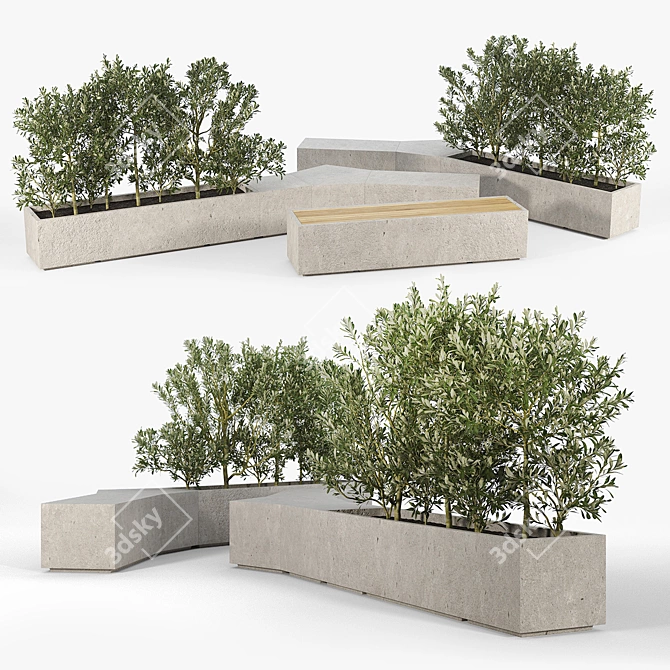 Modern Box Planter for Olea Europaea 3D model image 1