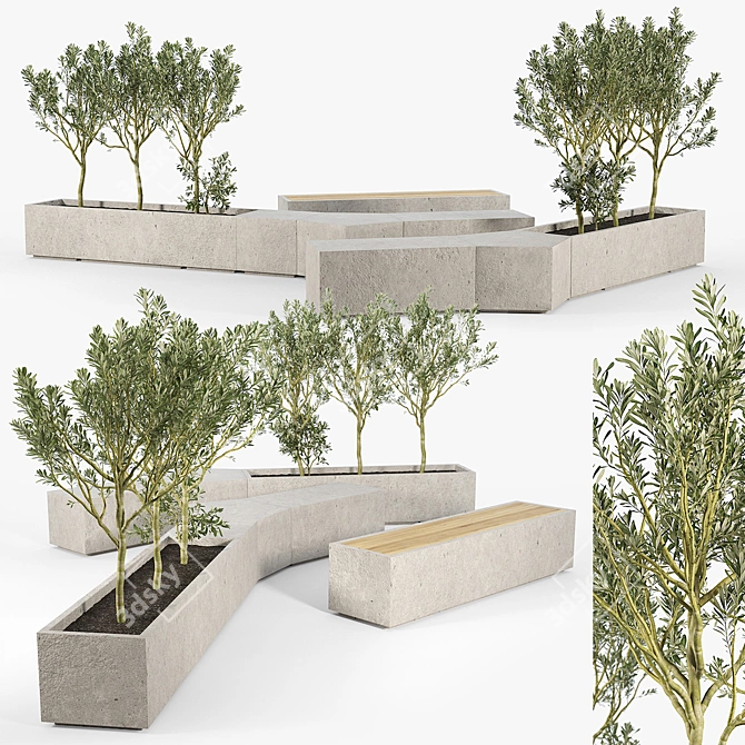 Olive Tree Box Planter 3D model image 2