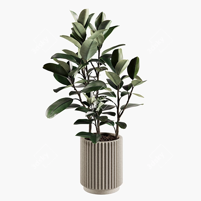 Lush Indoor Plant Variety Set 3D model image 1