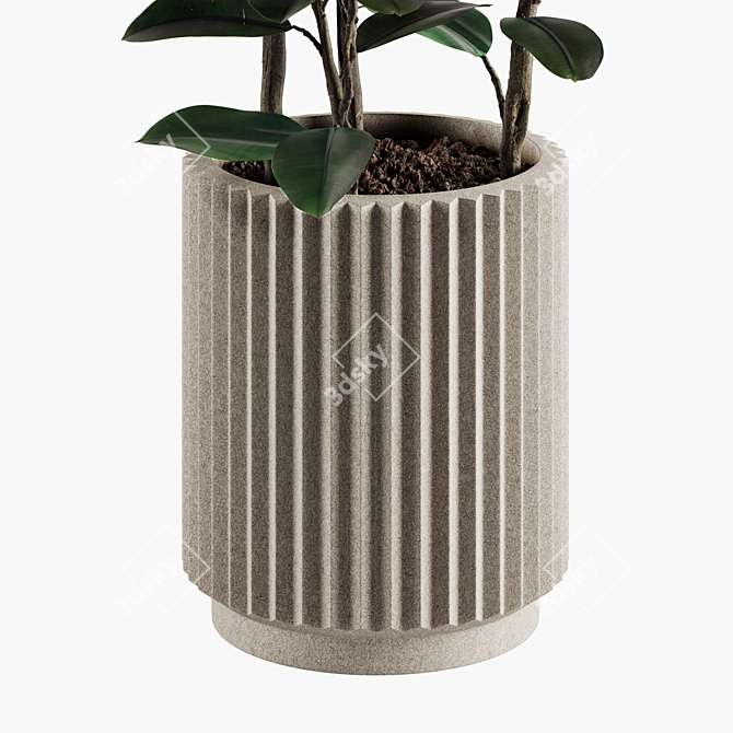Lush Indoor Plant Variety Set 3D model image 2