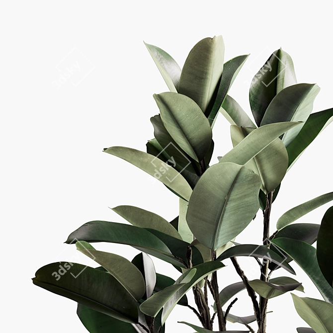 Lush Indoor Plant Variety Set 3D model image 4