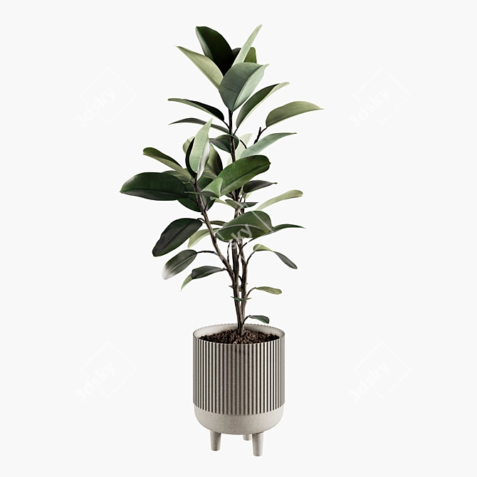 Green Oasis Indoor Plant Set 3D model image 1