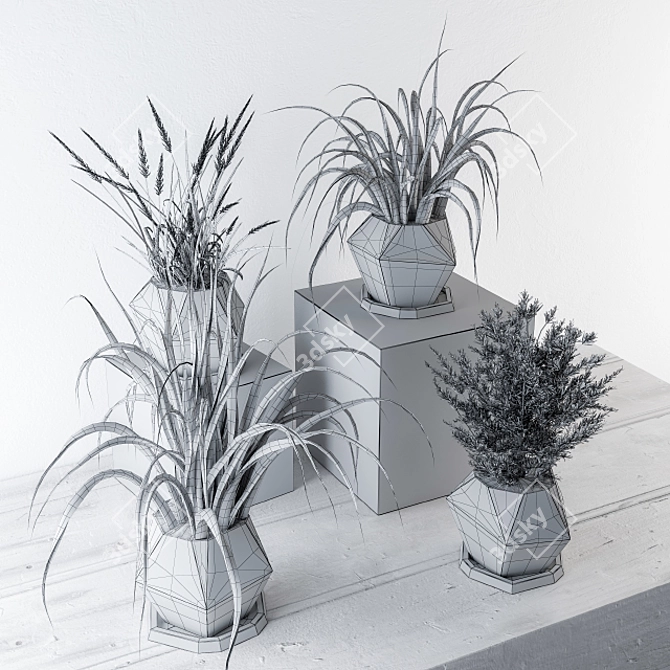 Botanical Charm: Plants & Pot Decor 3D model image 3