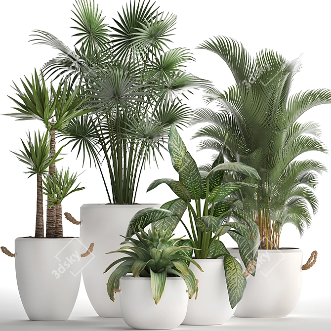 Exotic Houseplant Collection 3D model image 1