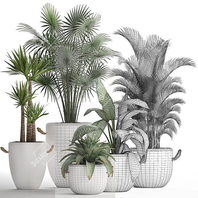 Exotic Houseplant Collection 3D model image 3