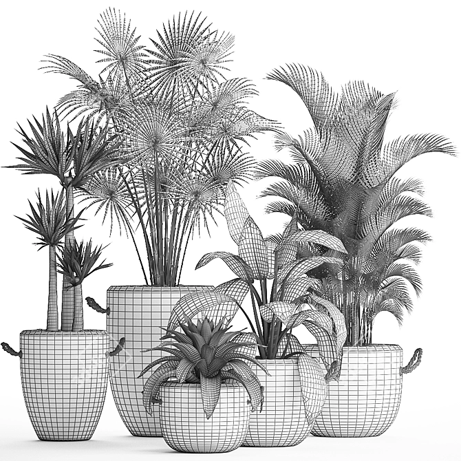 Exotic Houseplant Collection 3D model image 5