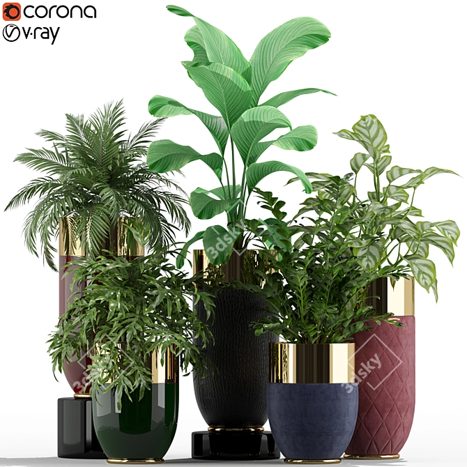 233 Longhi Godwin Plant Collection 3D model image 1