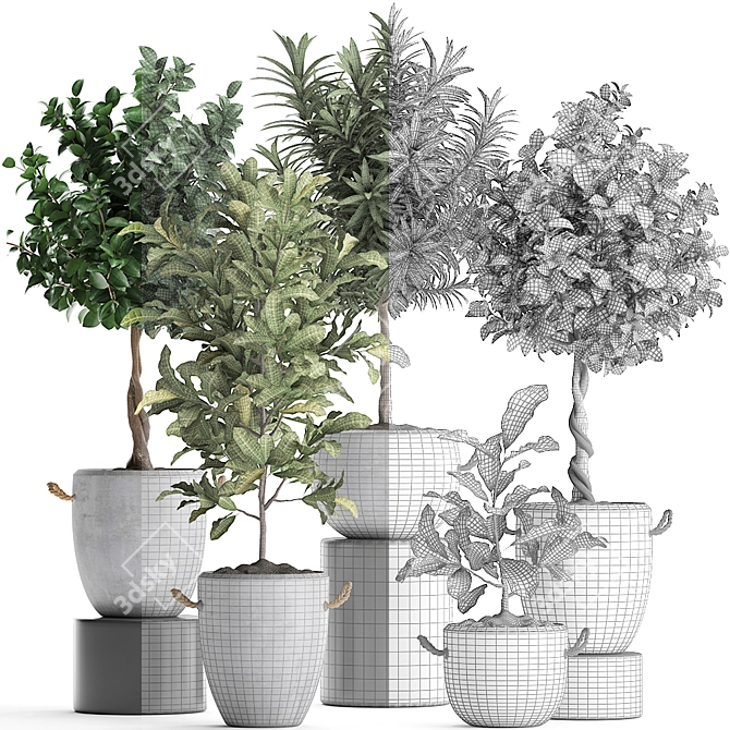Exotic Houseplant Collection 3D model image 3