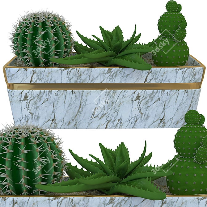 Title: Mini Cacti Pot: Tabletop Succulent Display 3D model image 1