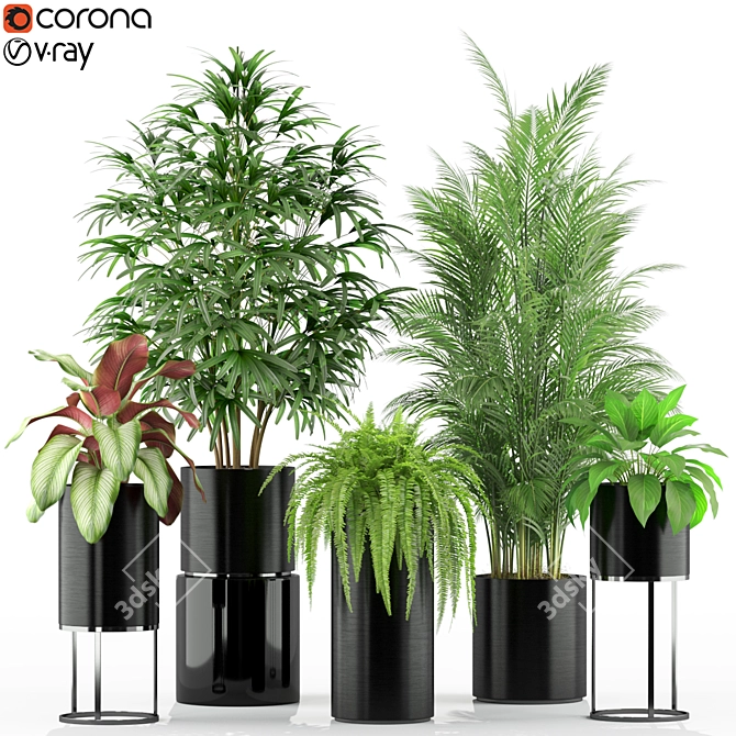 234 Variety Plant Collection 3D model image 1