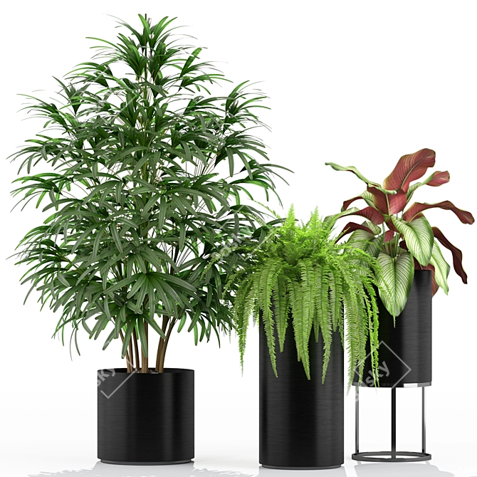 234 Variety Plant Collection 3D model image 2