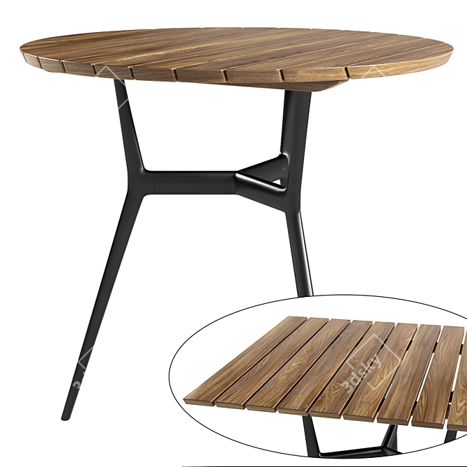 Tribu Teak Branch Bistro Table 3D model image 1