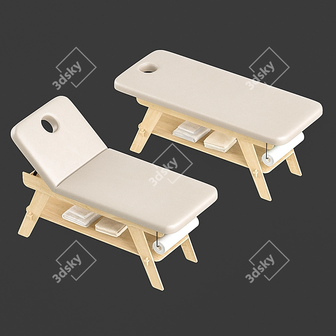 Relaxation Master Massage Couch 3D model image 2