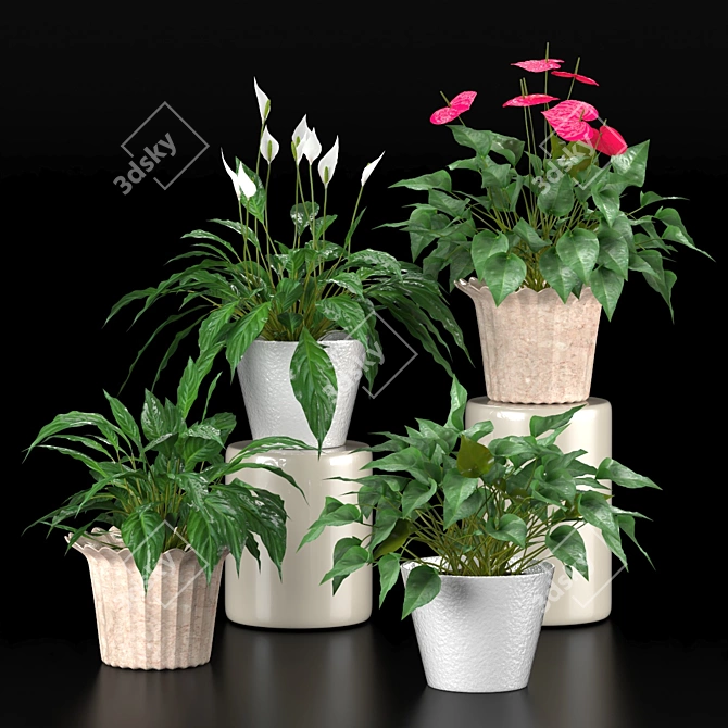 Duo Plant Happiness Set 3D model image 1