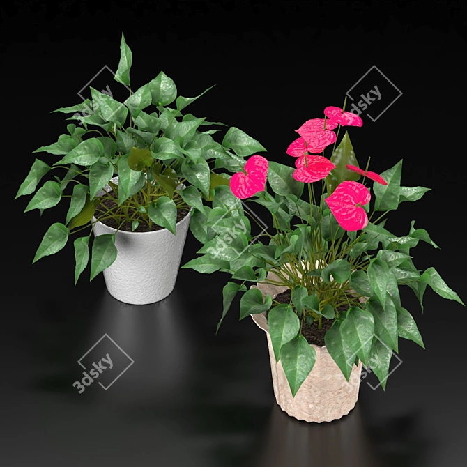 Duo Plant Happiness Set 3D model image 2