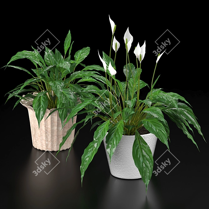 Duo Plant Happiness Set 3D model image 3