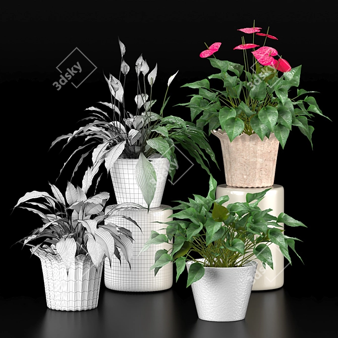 Duo Plant Happiness Set 3D model image 4