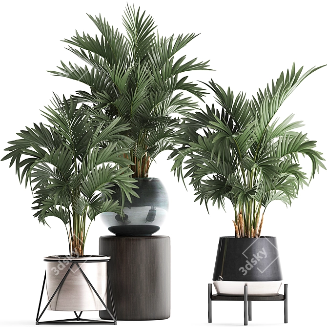 Exotic Palm Plant Collection 3D model image 1