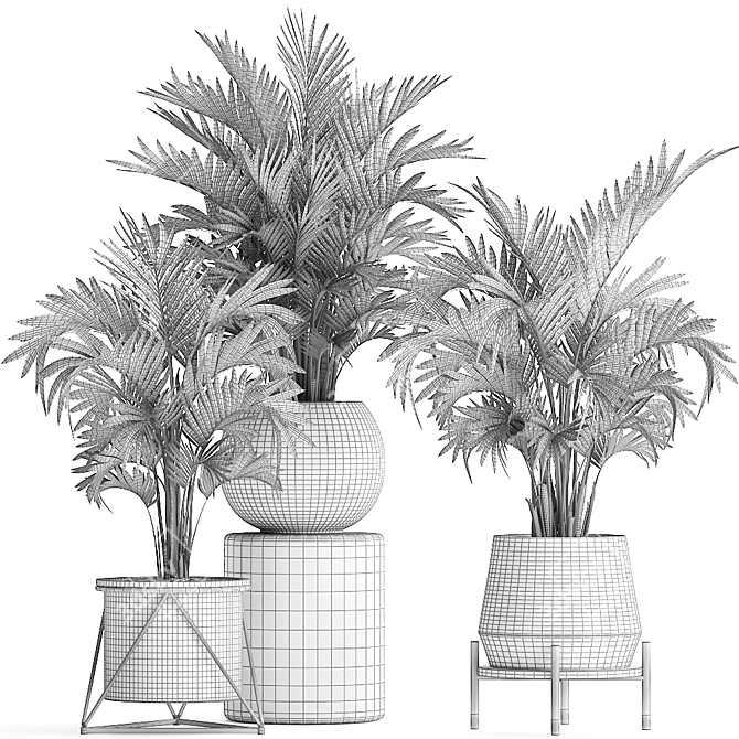 Exotic Palm Plant Collection 3D model image 5