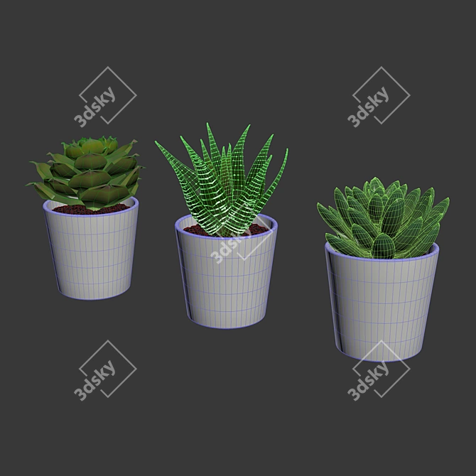 Everlasting Greenery: Artificial Succulents 3D model image 4