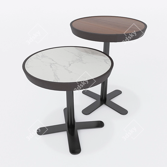 Elegant Molteni Kew Tables 3D model image 1