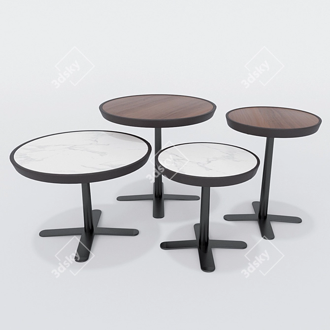 Elegant Molteni Kew Tables 3D model image 2