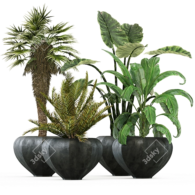 Lush Oasis: Office and Coffee Shop Plant Set 3D model image 5