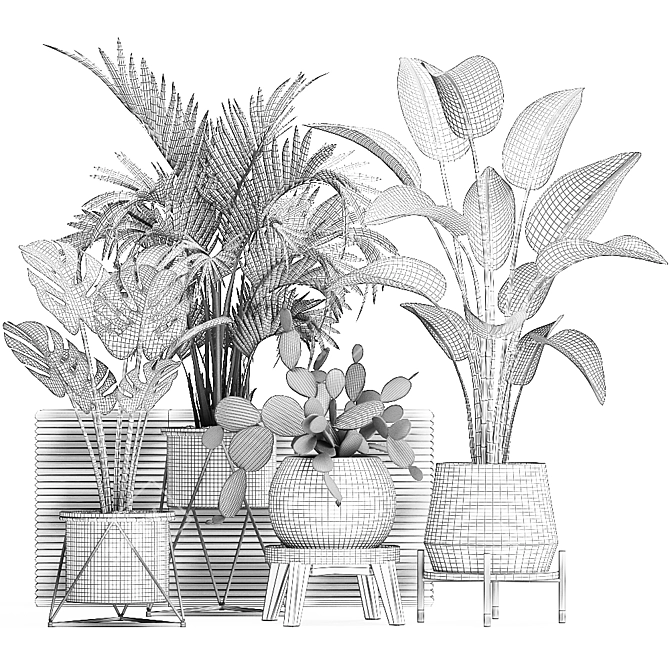 Exotic Plant Collection with Decorative Pots 3D model image 5