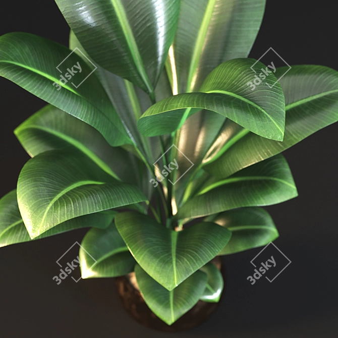 3D Max 2015 Plant Model 3D model image 2