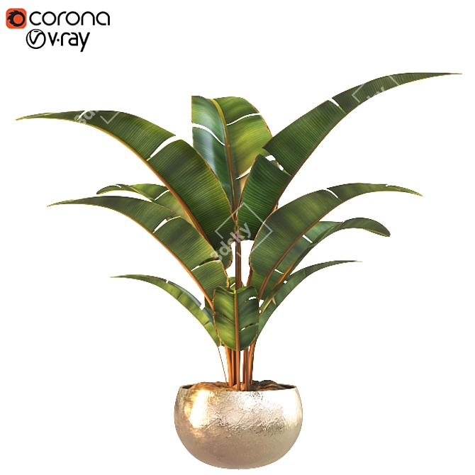 3D Plant Model - VRAY_CORONA 3D model image 1