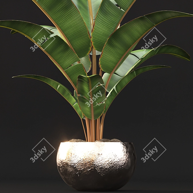 3D Plant Model - VRAY_CORONA 3D model image 2