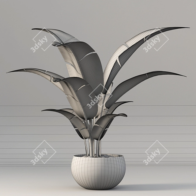 3D Plant Model - VRAY_CORONA 3D model image 3