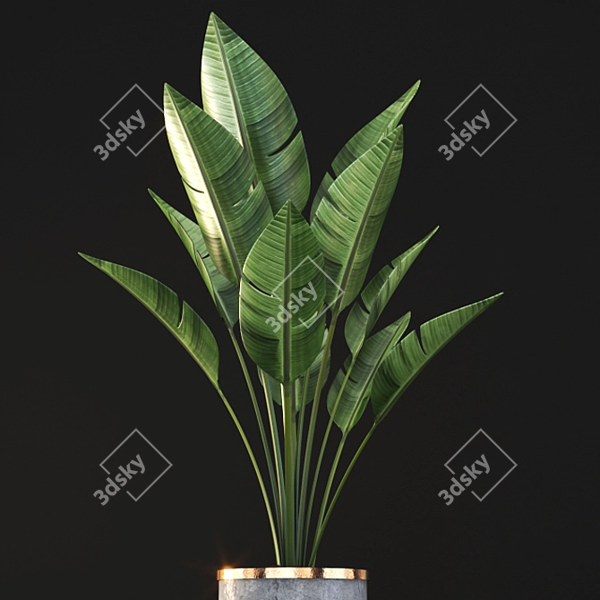 3D Plant Model - High Quality 3D model image 2